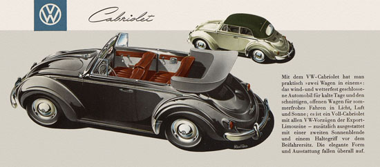 VW Käfer 1955