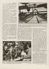 Die Woche Heft 38 1931