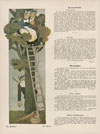 Jugend Heft Nr. 37 1905